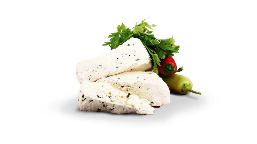 ركن التوزيع لتجارة الاجبان